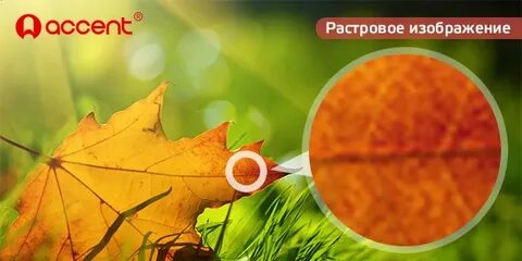 Растровая подложка