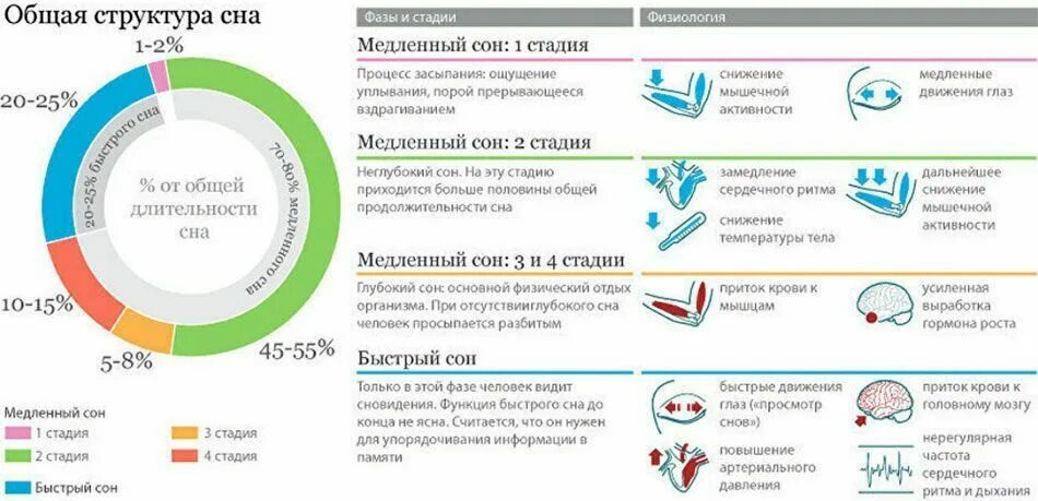 Сколько длится про. Структура сна фазы медленного и быстрого сна. Быстрая фаза сна Длительность. Медленный и быстрый сон норма взрослого человека. Соотношение медленного и быстрого сна в норме у взрослого человека.