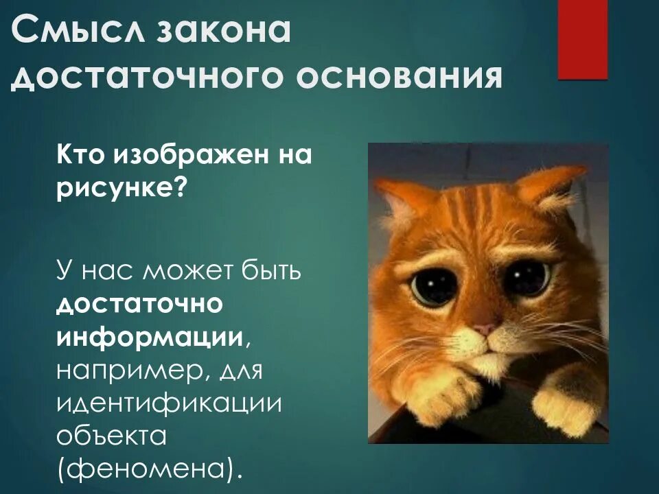 Достаточно информация. Закон достаточного основания. закон достаточного основания картинки. смысл закона. достаточное основание картинка.