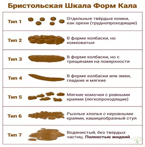 Причины темно зеленого кала у взрослого человека. Бристольская шкала форм кала причины. Бристольская шкала формы кала у детей. Бристольская шкала формы стула Тип 2. Бристольская шкала стула норма.