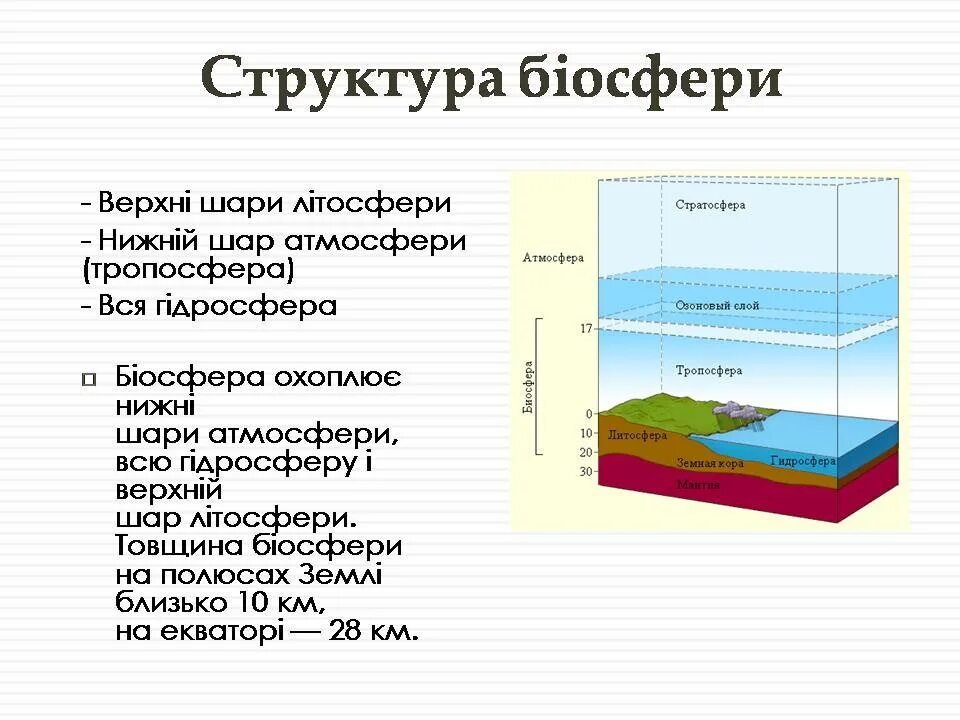 Атмосфера литосфера гидросфера Биосфера Тропосфера стратосфера. Структура біосфери. Нижняя граница биосферы располагается на высоте. Склад біосфери.