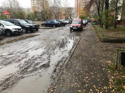Дворы 2022
