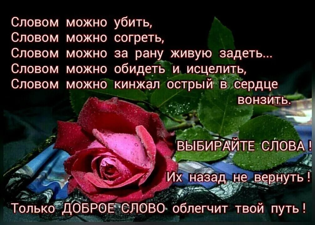 Словом можна. Словом можно обидеть стихи.