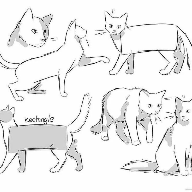 Cats tutorials