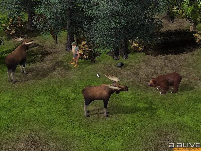 Ostwind/windstorm игра. Симулятор симулятор лошади. Симулятор дикой природы. Wildlife park долина лошадей. Wildlife park долина лошадей.