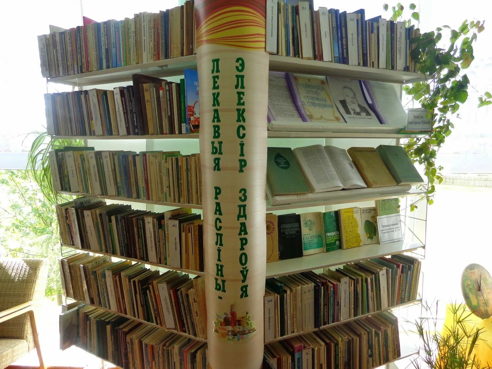 Библиотека в сентябре