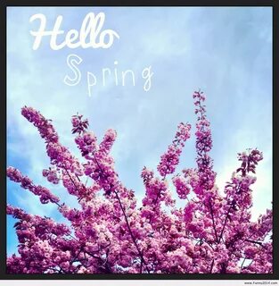 Named spring