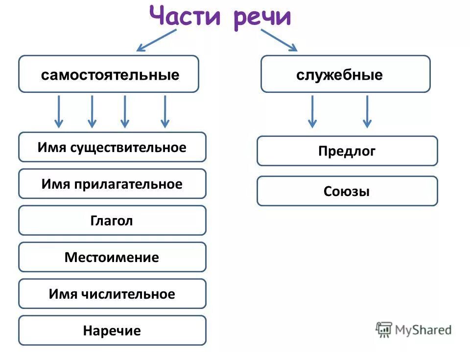 Перечислите самостоятельные части