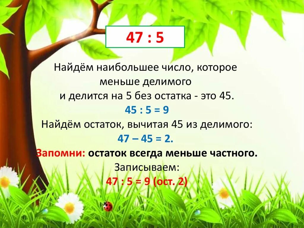 Число которое меньше 25. Найди наибольшее число на которое делится. число на которое делимое делится без остатка. число меньше. числа которые делятся на 2 без остатка.