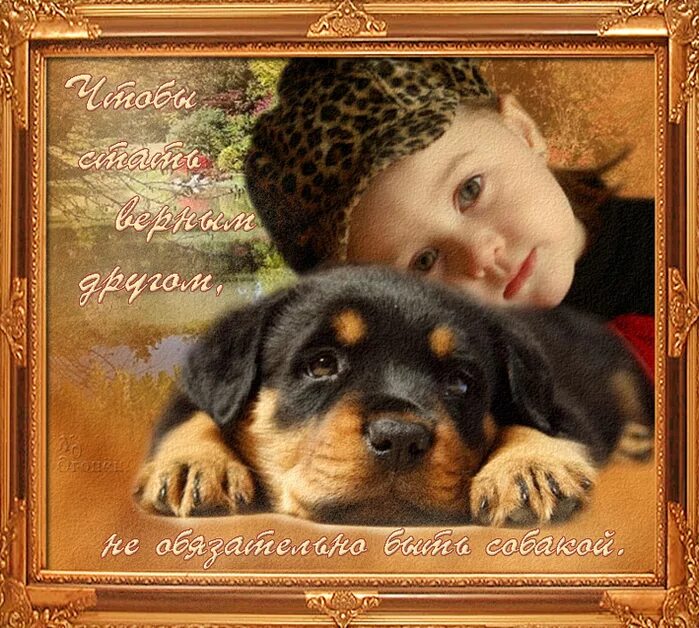 пусть преданные друзья. высказывания о любви. пусть преданные друзья. пожелания отличного настроения и удачи. собака верность преданность.