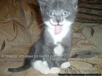 Не пойму или не пойму