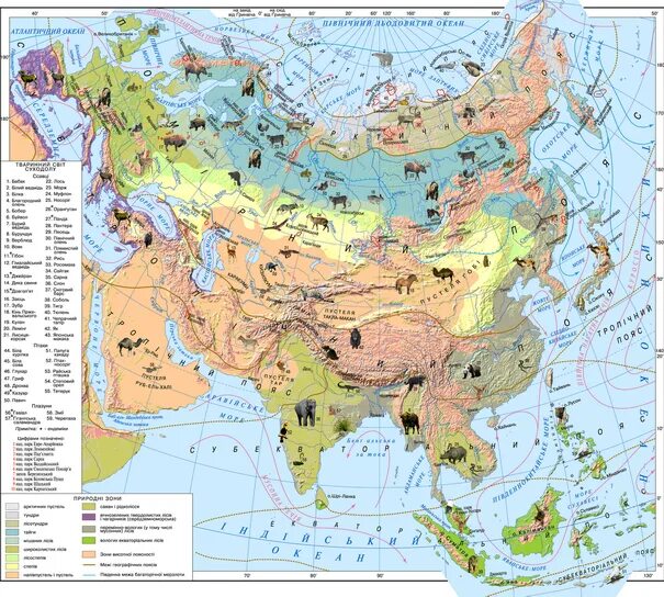 Географические зоны евразии. Карта природных зон Евразии. Карта Евразии с животными.
