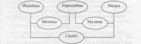 1 население южной америки