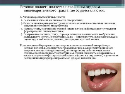 Пищевой комок в полости рта