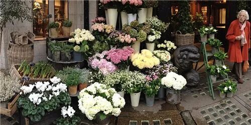 Остановка цветочный магазин. Цветочный магазин в Швейцарии. Цветочная Лавка в Европе. Цветочный магазин в подвале в Голландии. Новоспасское цветочный магазин.