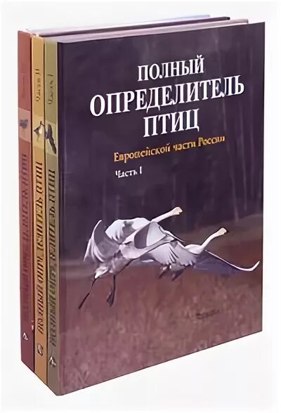 Полный определитель птиц. Полный определитель птиц европейской части России. Книга полный определитель птиц. Птицы России полный определитель. Читать книгу проданная полностью