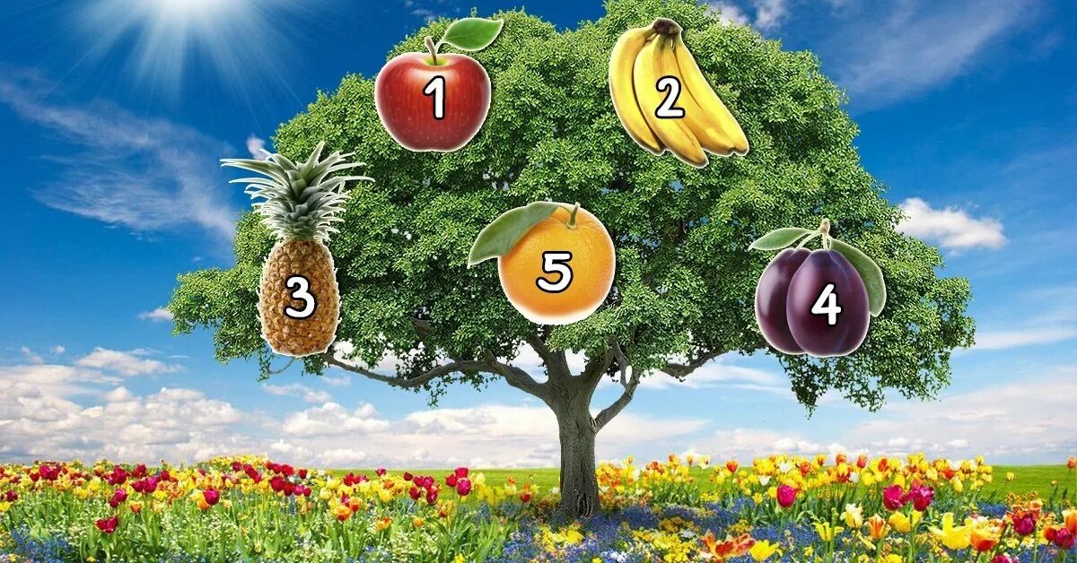 кельтское сердце расклад таро. дерево желаний гадание. для дерева желаний гадания. дерево желаний. погадать на дереве желаний.