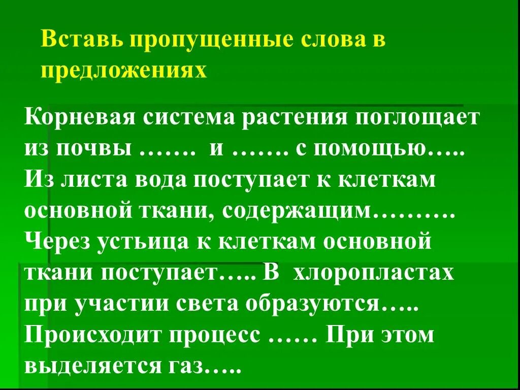 Вставьте в текст голосеменные растения пропущенные слова. Из листа вода поступает к клеткам основной ткани содержащим. Предложение к слову растение. Предложение со словом растение. Вставьте пропущенные слова трава.