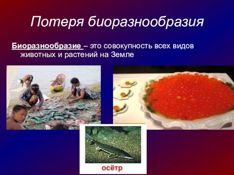 Проблема утраты биоразнообразия. Потеря биоразнообразия. утрата биоразнообразия. утрата биоразнообразия последствия. проблемы биоразнообразия.