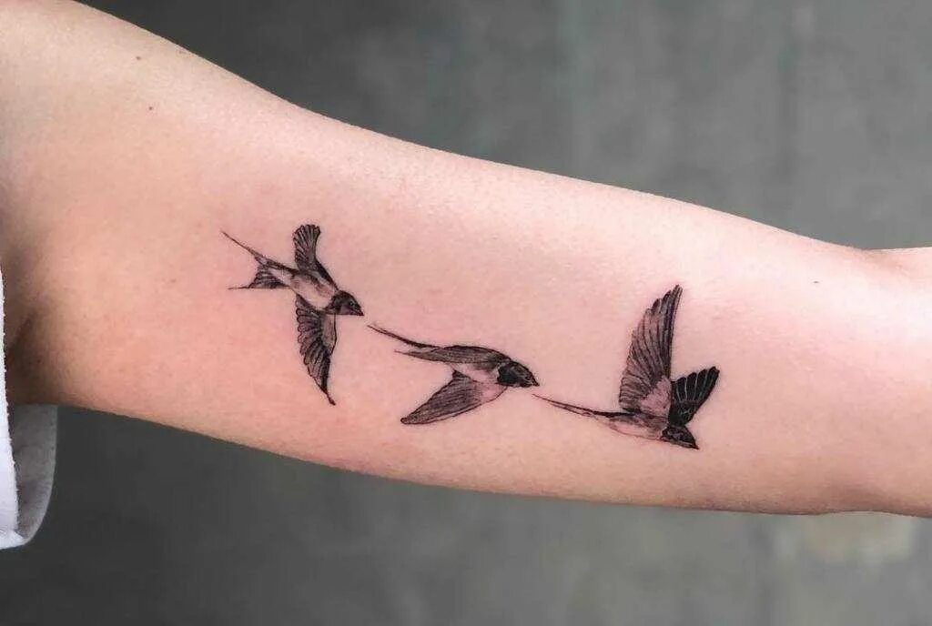Татуировка птицы значение. Татуировка птицы значение. Смысловые татуировки для девушек. Птицы на ключице. Татуировка птицы значение.