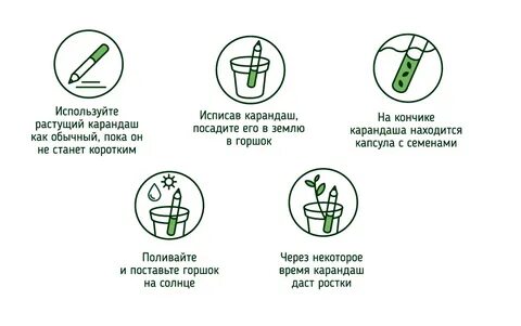 Как пользоваться eco