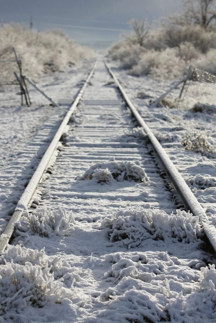Зимний стрелок. Заснеженные рельсы. Рельсы зима. Железная дорога снег. Рельсы в снегу.