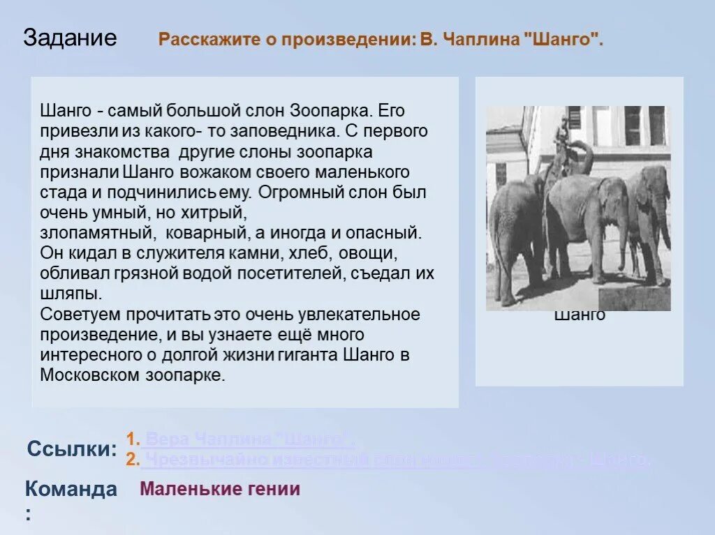 Когда в московский зоопарк радио принесло