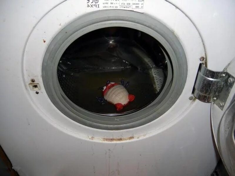 стиральная машинка набирает воду и сливает. стиральная машина не сливает воду. почему в стиральной машинке вода. стиральная машинка бош макс 5. стиральная машина bosch maxx 5 маленькая трубка для слива.