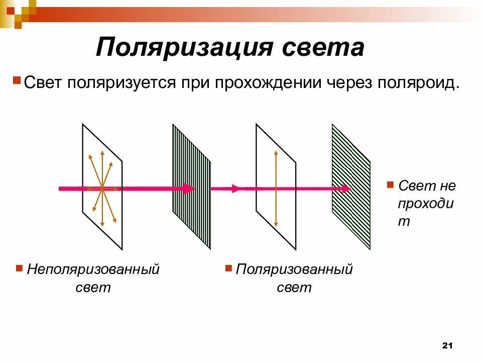 Поляризация рисунок. Поляризация волн физика 11 класс. Поляризация света 11 класс физика. Поляризация света физика 9 класс. Поляризация света схема.