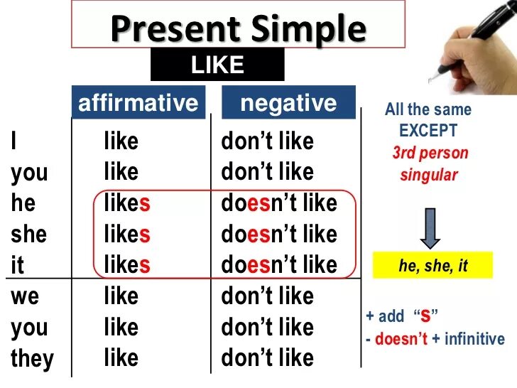 Выберите правильную форму глагола she her. Do does present simple правило. Спряжение глагола like в английском языке. Present simple like в английском языке. Глагол like в present simple.