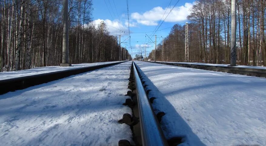 Удельный парк трасса. Железная дорога удельный парк. Трасса м7 через удельный парк. Удельный парк скоростная магистраль. Удельный парк в Санкт-Петербурге.