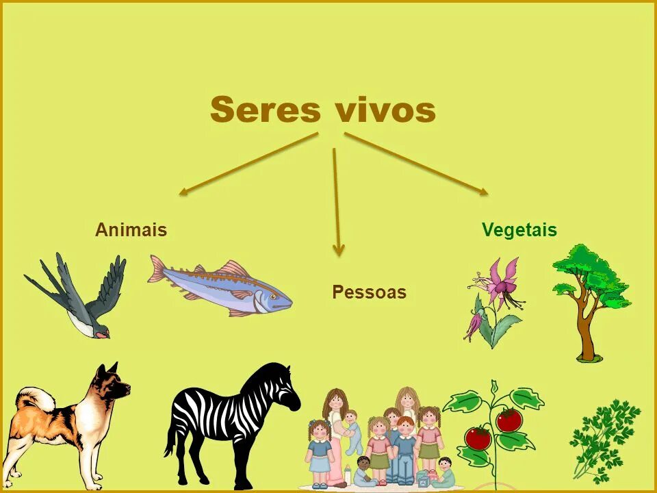 Sokon sf5. Донг фенг электромобиль кроссовер. Seres sf5. Hongqi hs5 2023. Москвич evolute 2022.