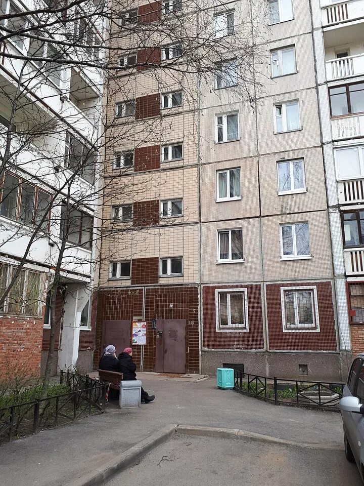 Дуров на Камышовой улице. Двор на Камышовой СПБ.