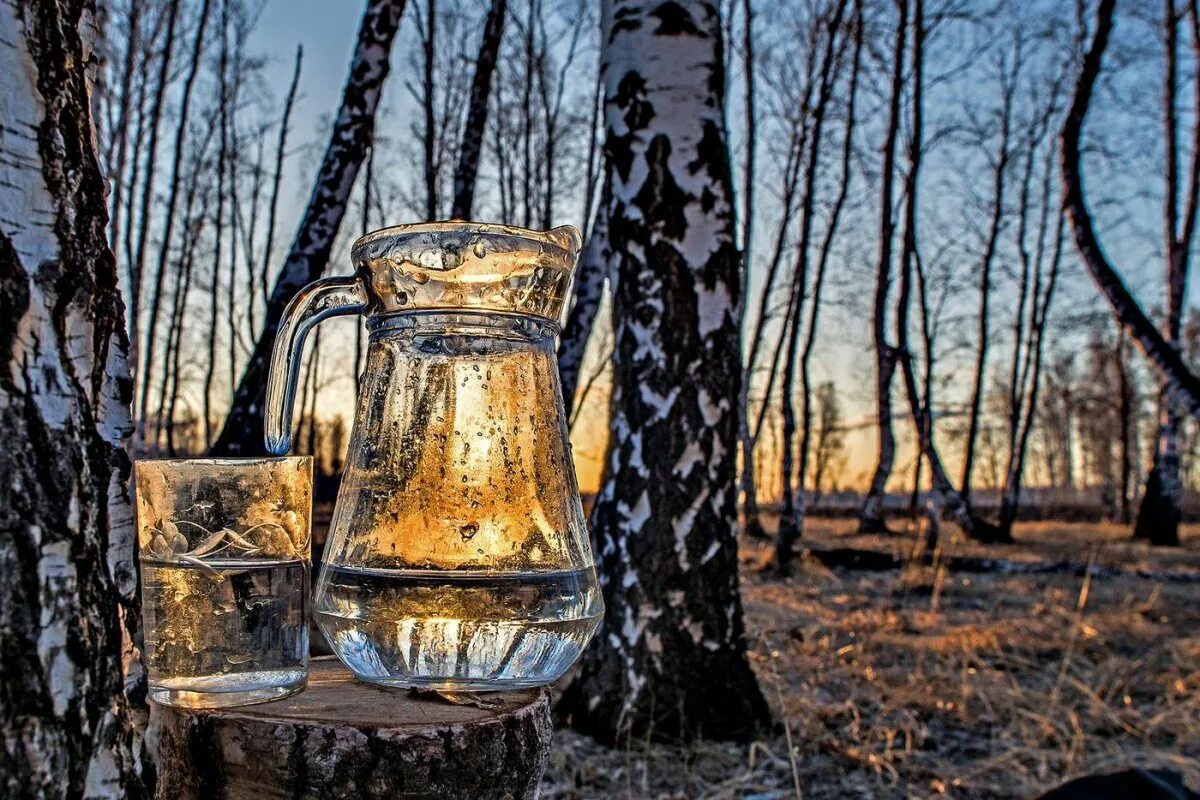 Береза и березовый сок. Берёзовый сок. Сок березы. Березовый сок в стакане. Сок березка