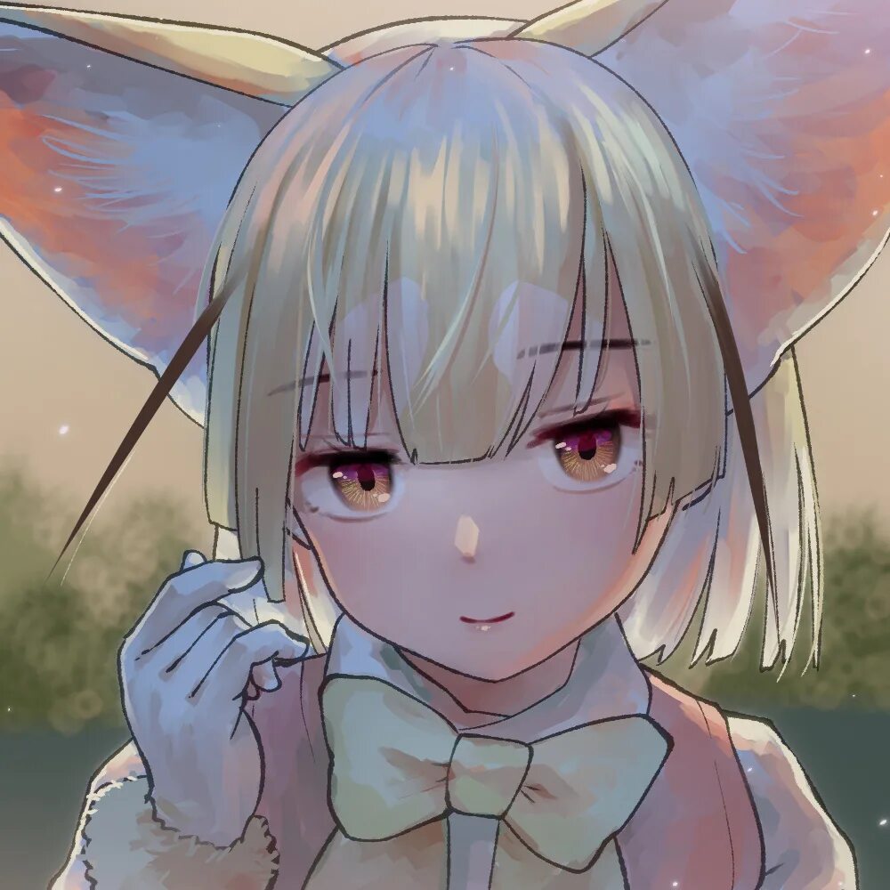 Kemono friends фенек. Kemono friends большеухая лисица. Kemono friends Fennec на аву.