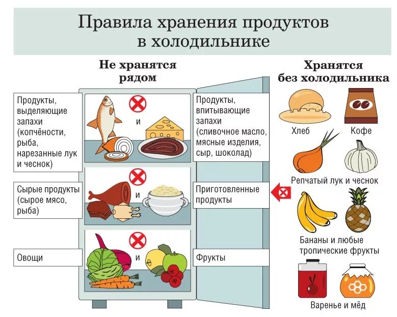 Правила хранения продуктов. Правила хранения продуктов питания. Правила хранения продуктов в холодильнике. Правило хранение продуктов в холодильнике. Можно хранить овощи в холодильнике