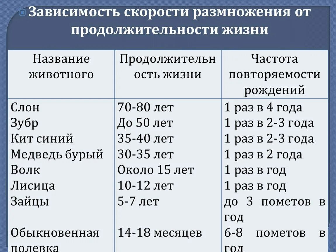 Как связаны плодовитость продолжительность жизни и размеры