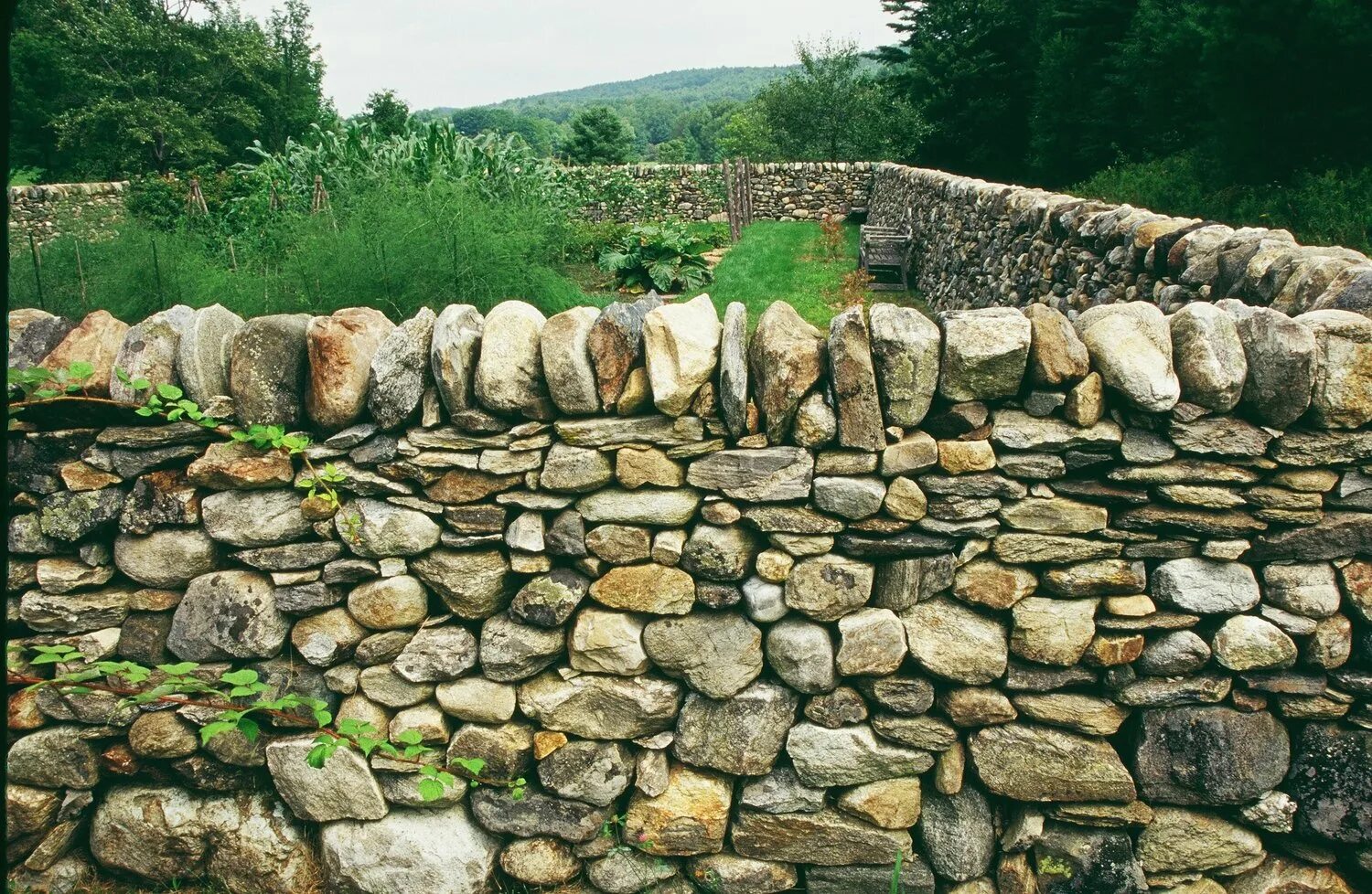 Йоркшир каменные заборы. Каменный забор. Забор из валунов. Каменное ограждение.