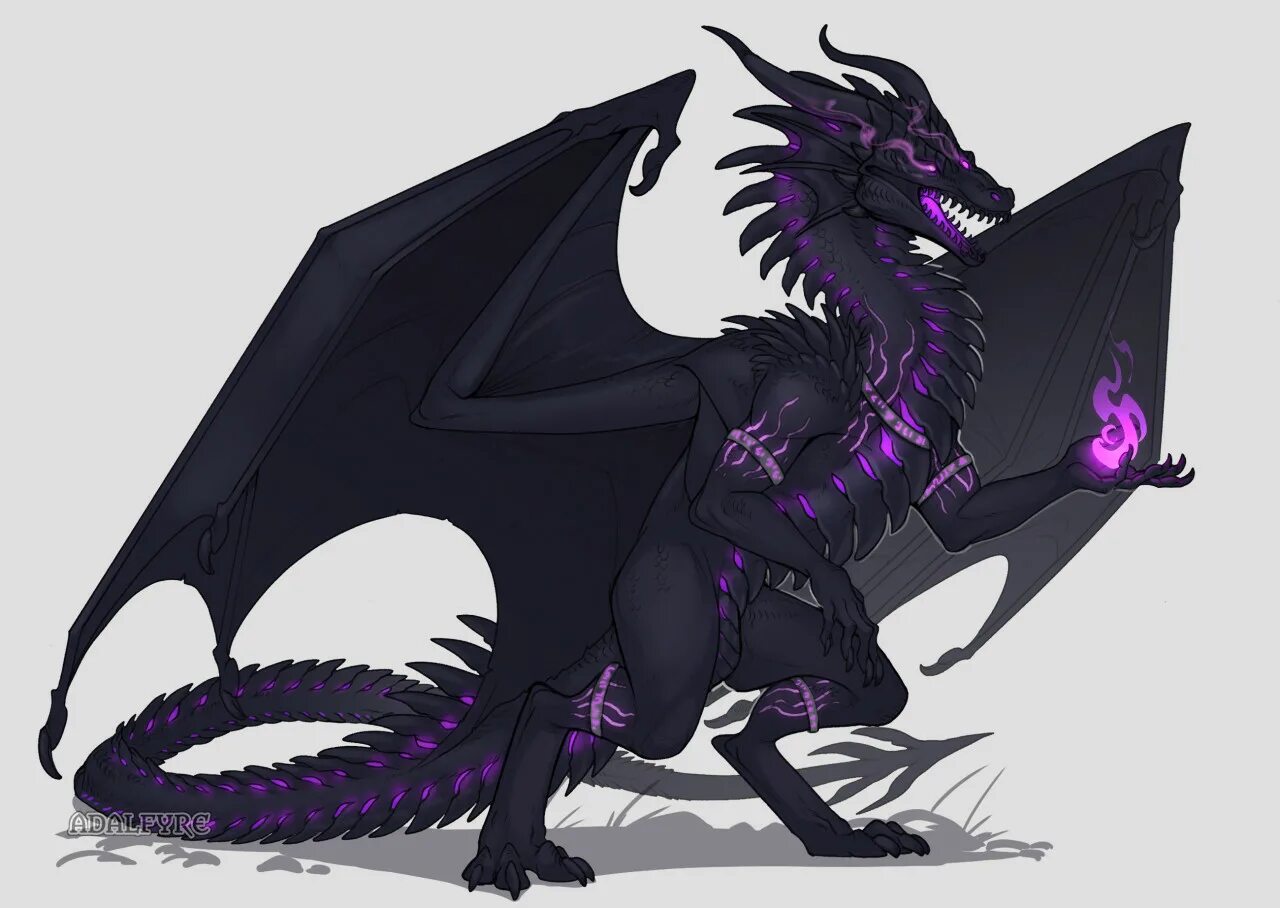 Dragon noir. Adalfyre дракон. Adalfyre виверна. Dragon anthro Adalfyre. Фурри драконы Adalfyre.