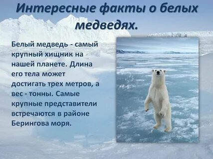 Интересные факты о белом