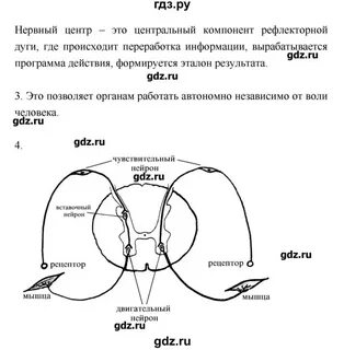 Биология 8 рабочая тетрадь пасечник