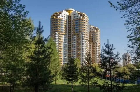 Химки московская область недвижимость