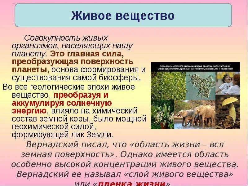 Где наибольшее количество живых организмов. Совокупность живых организмов. Совокупность всех живых организмов биосферы. Живое вещество — живые организмы, населяющие. Совокупность живых организмов населяющих планету.