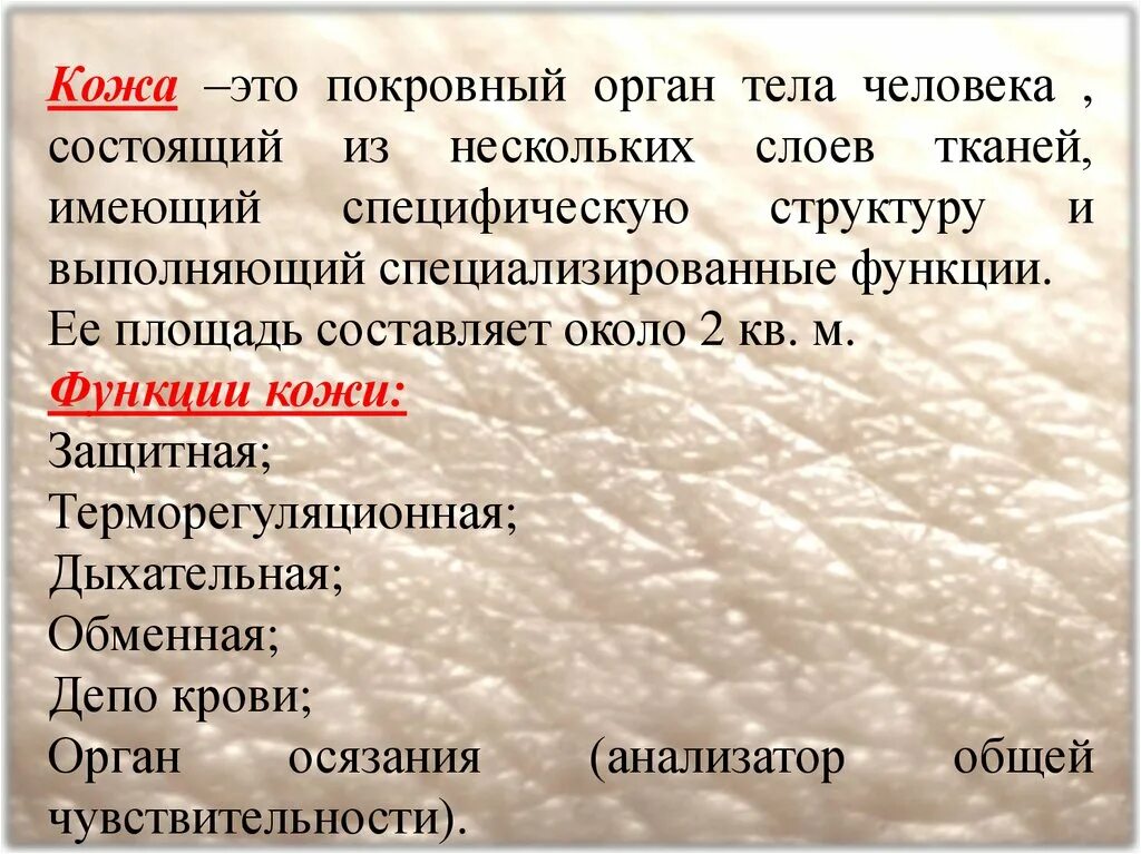 Опорная функция кожи. Кожа определение. Ожа. Что такое кожа человека определение. Функции кожи человека.