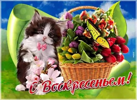 Доброго воскресного дня картинки красивые новые