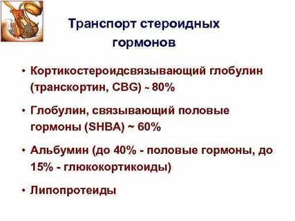 Глобулин связывающий