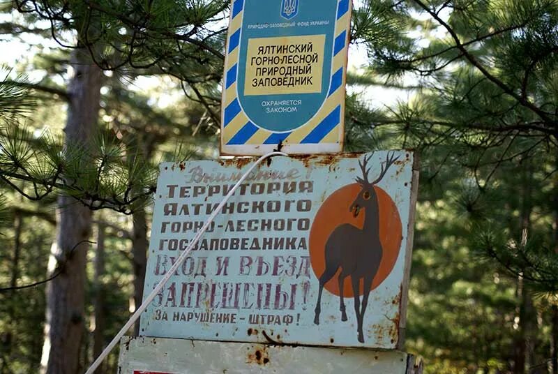 ялта горно лесной природный заповедник. ялта горно лесной природный заповедник. крымский заповедник ялтинский. ялтинский горный заповедник. крымский заповедник ялтинсаий горнолесной.