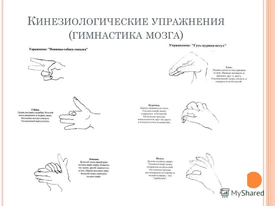 Кинезиологические упражнения гимнастика мозга. Пальчиковые кинезиологические упражнения гимнастика мозга. Кинезиологические пальчиковые упражнения для дошкольников. Кинезиологические упражнения для мозга для детей. Картотека кинезиологических упражнений