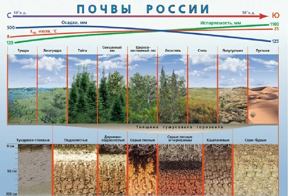 Какая почва в природной зоне пустыни. Дерново-подзолистые почвы на карте. Типы почв распространенные в России. Основание типы почв. Типы почв в России подзолистые.