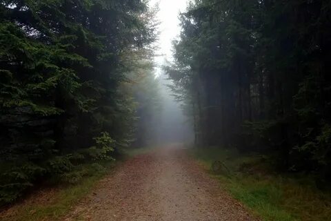 Заснет далекий лес
